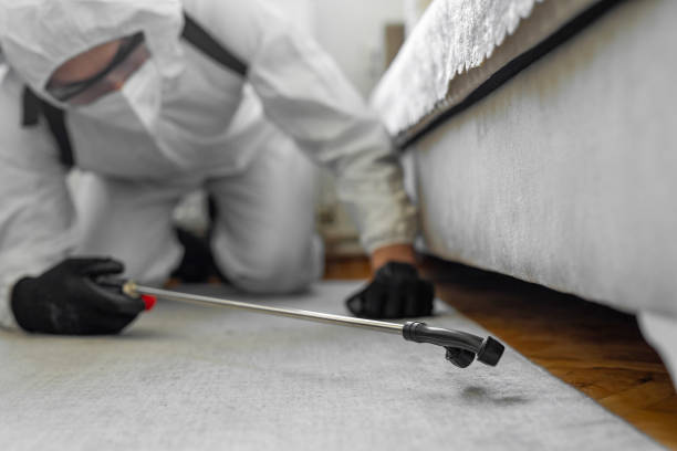 Professional Rodent Control technician working in Covelo, CA