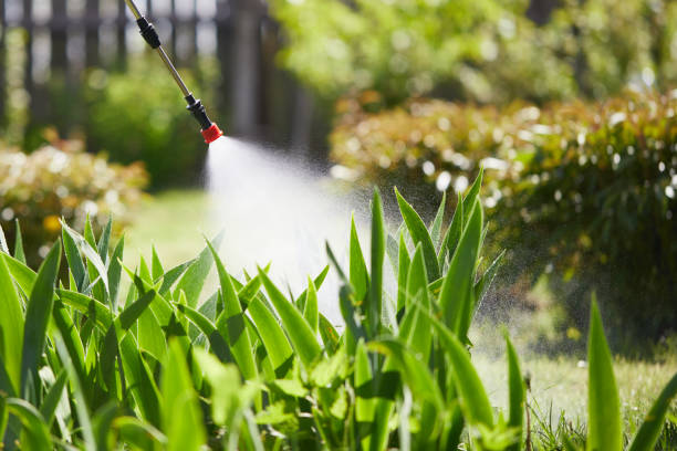 24/7 Emergency Rodent Control experts in Covelo, CA