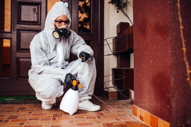 Reliable Rodent Control contractor in Covelo, CA by Nex Pest Control
