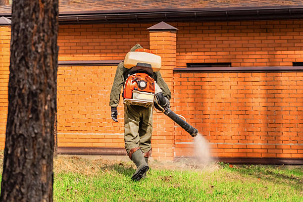 Trusted Termite Control service in Covelo, CA - Nex Pest Control